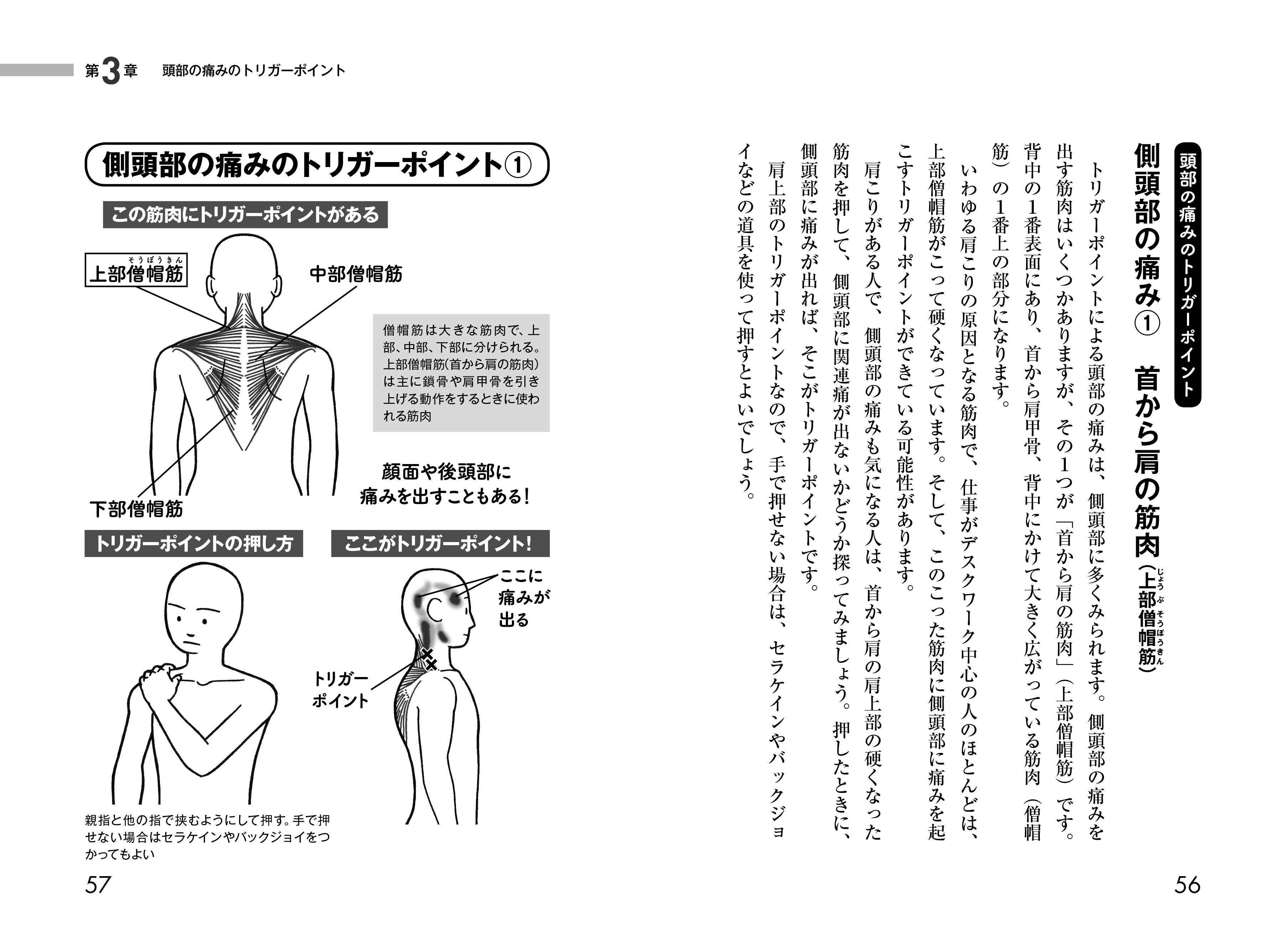 X-Knowledge | 世界一やさしいトリガーポイントの探し方・押し方